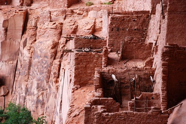 Navajo National Monument by null