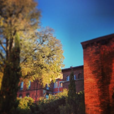 Musée Saint-Raymond by null