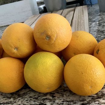 Orange Patch Too - The best oranges around - I love squeezing them for juice - Fruits & Veggies Near Me - Mesa, Arizona
