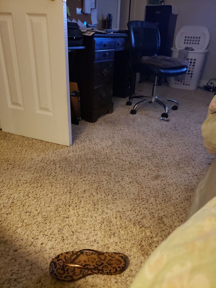 SAVE A LOT CARPET CLEANING 17 Reviews 4658 Brunson Rd, Fayetteville