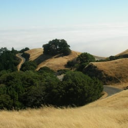 Present Life Counseling of Marin