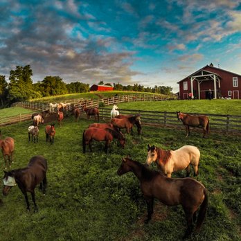 River Valley Ranch - Religious Organizations Near Me - Manchester, Maryland River Valley Ranch - Religious Organizations Near Me - Manchester, Maryland