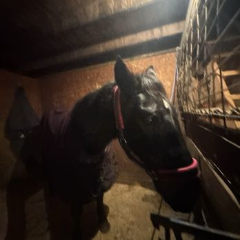 Turn Crest Stable - Horse - Horseback Riding Near Me - Kasson, Minnesota Turn Crest Stable - Horse - Horseback Riding Near Me - Kasson, Minnesota