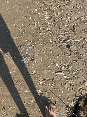 Keansburg Beach by null