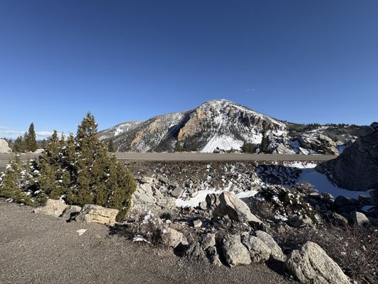Roosevelt Arch by null