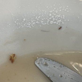 Biscuits & Jams - Hair found underneath ramekin - Breakfast & Brunch Near Me - Bartlett, Tennessee