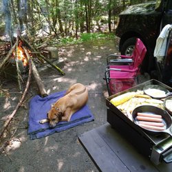 Paradox Lake Campground - Blackstone makes a nice portable cooktop. I wish I had bought steak..