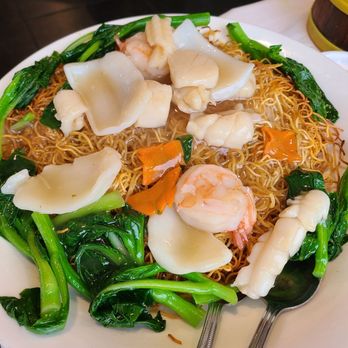 Precious Island Dim Sum - Pan Fried Noodles - Cantonese Near Me - Staten Island, New York Precious Island Dim Sum - Pan Fried Noodles - Cantonese Near Me - Staten Island, New York