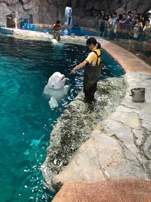 Port Of Nagoya Public Aquarium by null