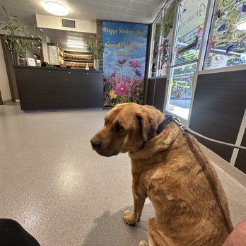 Granada Veterinary Clinic - Veterinarians Near Me - Mission Hills, California Granada Veterinary Clinic - Veterinarians Near Me - Mission Hills, California