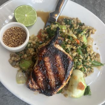 Yard House - Thai Grilled Pork Chop - Bars Near Me - Tampa, Florida Yard House - Thai Grilled Pork Chop - Bars Near Me - Tampa, Florida
