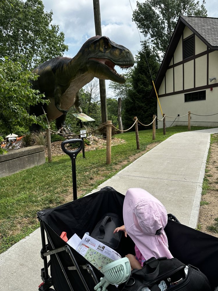 Social spots from Utica Zoo