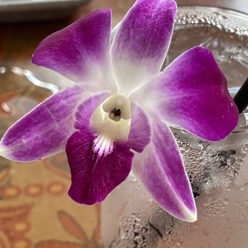 Pisces Rising - Flower from my salad - Seafood Near Me - Mount Dora, Florida Pisces Rising - Flower from my salad - Seafood Near Me - Mount Dora, Florida