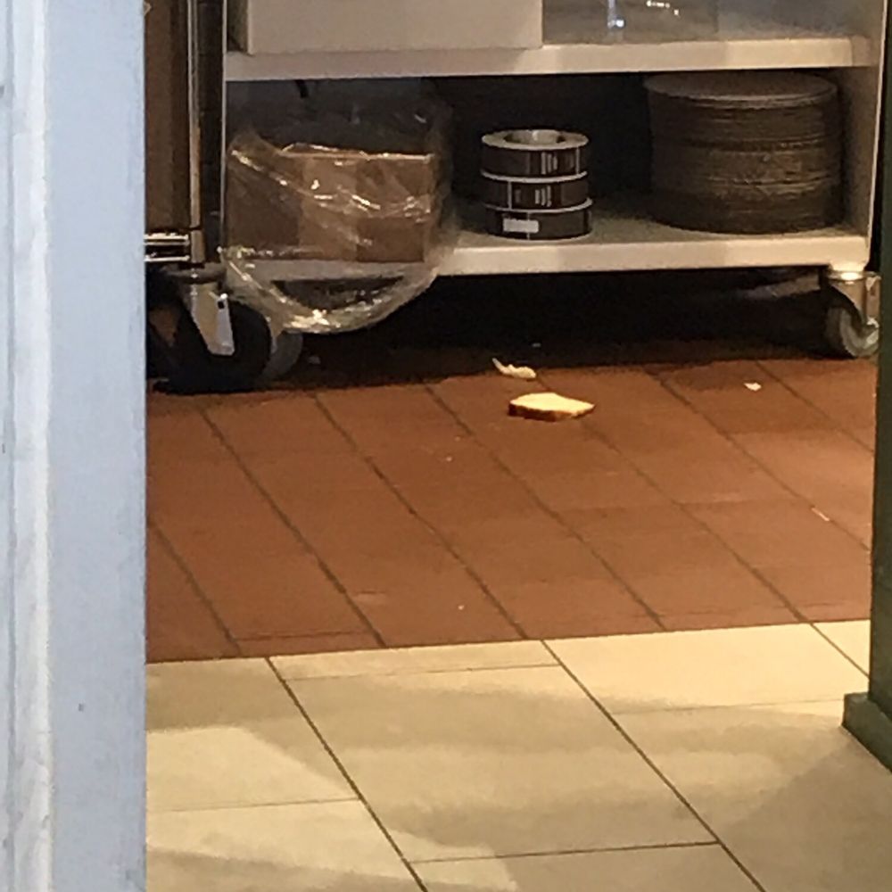 Panera Bread - Food spilled in serving area - Salad Near Me - Westworth Village, Texas Panera Bread - Food spilled in serving area - Salad Near Me - Westworth Village, Texas