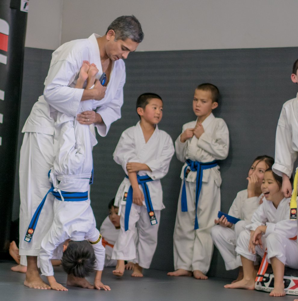 Practical Karate Logo