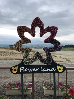 Flower Land Kamifurano by null