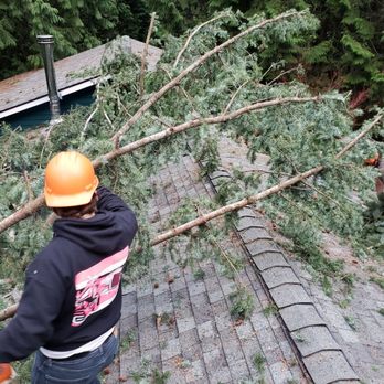 Miller Tree Service - Tree Services Near Me Miller Tree Service - Tree Services Near Me