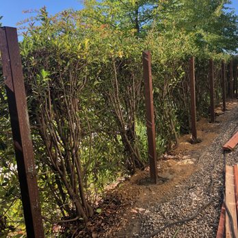 Ergeon - Old fence down and posts in on day 1. - Fences & Gates Near Me - Sacramento, California Ergeon - Old fence down and posts in on day 1. - Fences & Gates Near Me - Sacramento, California