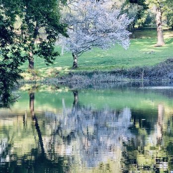 Green Mountain Retreat - Venues & Event Spaces Near Me - Los Gatos, California Green Mountain Retreat - Venues & Event Spaces Near Me - Los Gatos, California