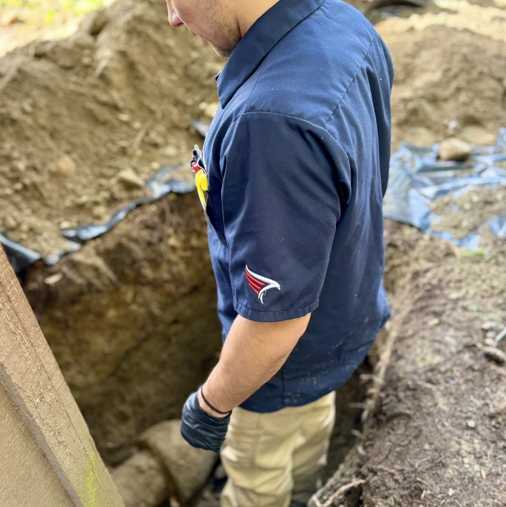 Slide of Stars and Stripes Plumbing