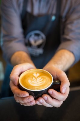 The Coffee Fox Roasting Co. by null