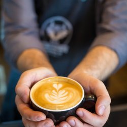 The Coffee Fox