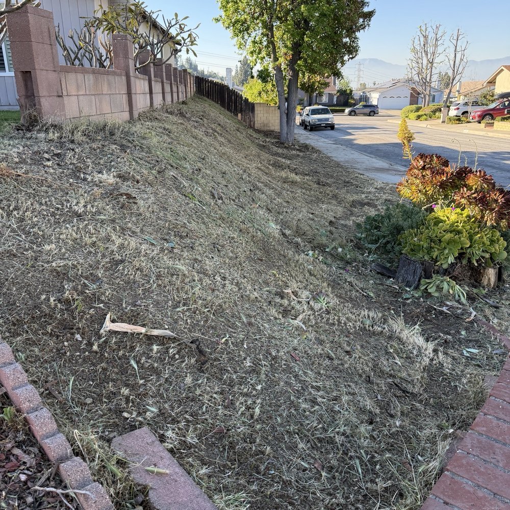 Inexpensive Tree Services - Cleared corner hillside - Tree Services Near Me - Los Angeles, California Inexpensive Tree Services - Cleared corner hillside - Tree Services Near Me - Los Angeles, California