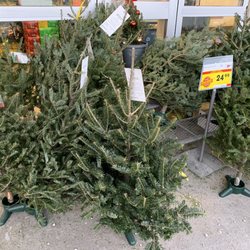 Sobeys - This time of year!!