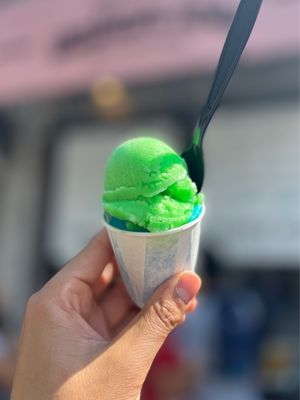 希少　162 GUMMYS Muscat Green Ice Cream Noosa Amaze-mint Chocolatey Chunk Gelato (14 fl oz) Delivery or