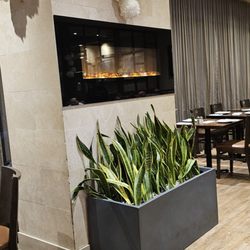 Pizza Classica - The Dining Atea