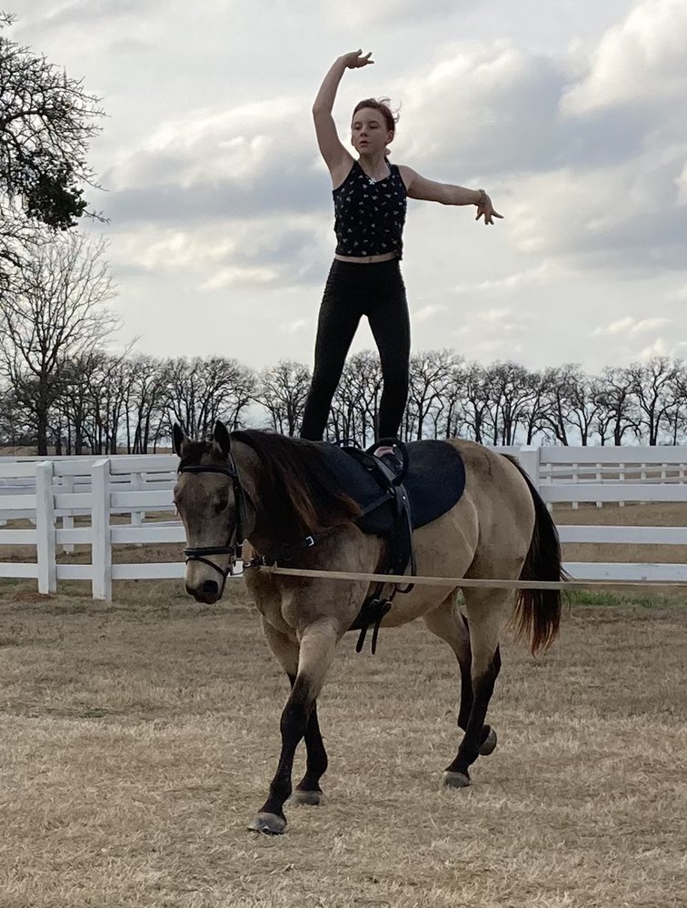 FLYING VAULTERS 19 Photos Covington, Texas Horseback Riding