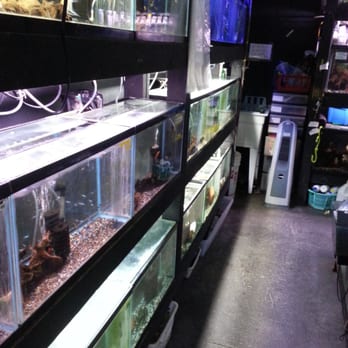 Moanalua Pets - Pet Stores Near Me - Honolulu, Hawaii Moanalua Pets - Pet Stores Near Me - Honolulu, Hawaii
