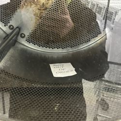 The Laundry Basket