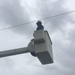 4 Lakes Tree service - We can handle trees near electrical wires and near homes. We are sure to use safe techniques to get the tree down.