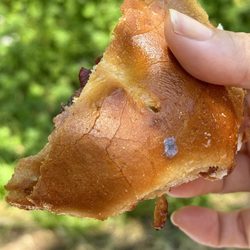 Deke's Bagels - Lint on a sandwich bagel.