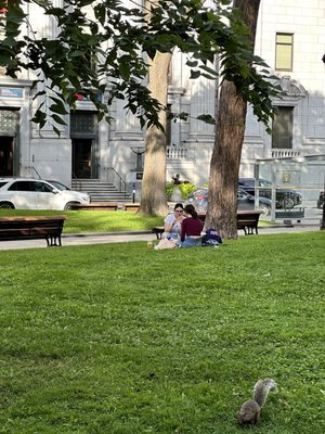 Dorchester Square by null