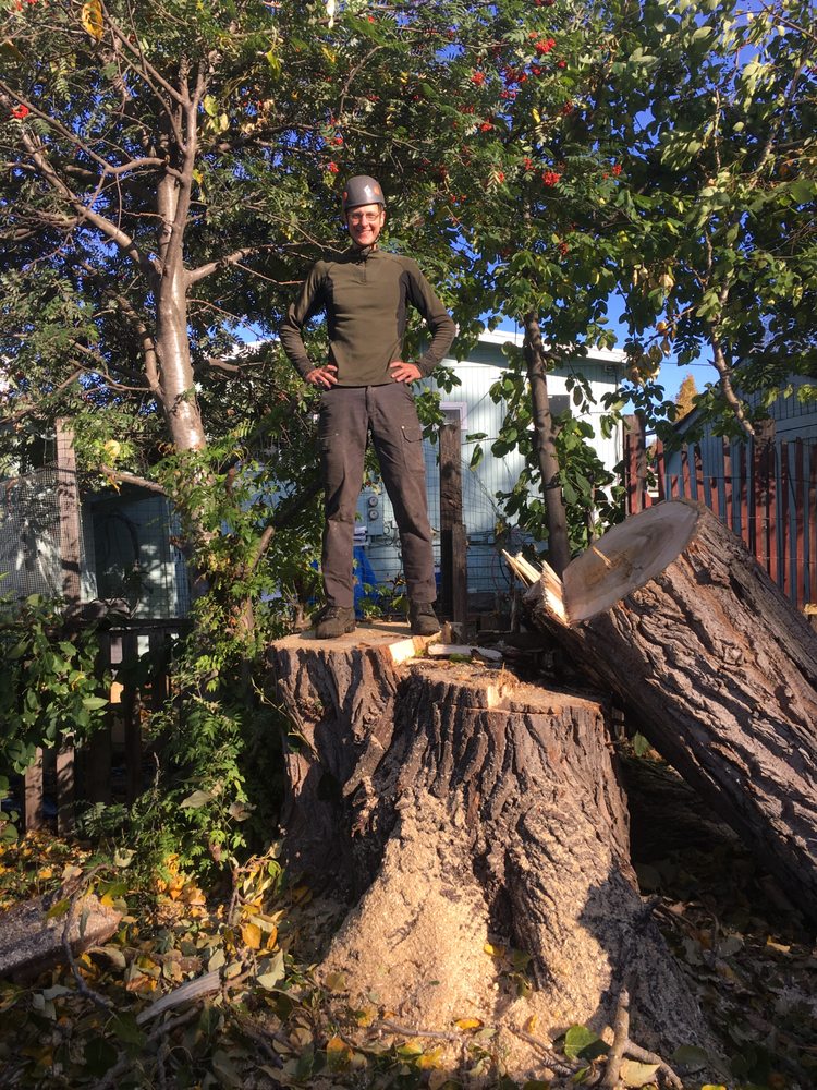 PAUL’S TREE SERVICE Updated May 2024 10 Reviews Anchorage, Alaska