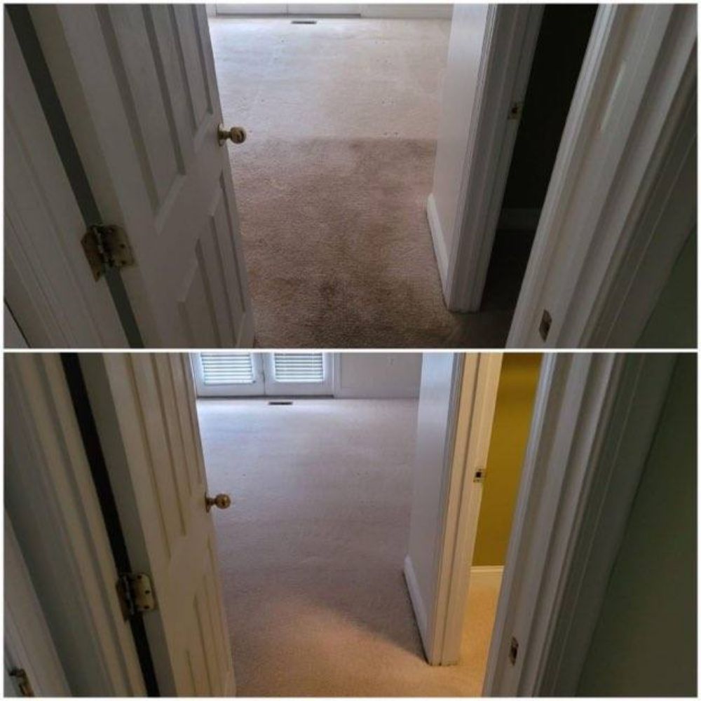 FRESH START CARPET CLEANING Updated June 2024 Request a Quote 38