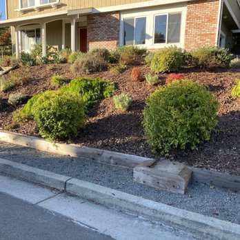 Lemus Landscaping & Excavating - After the clean-up work - Landscaping Near Me