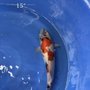 Morito Koi Company