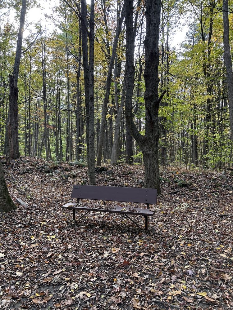 GREENFIELD CENTER PARK Updated August 2024 18 Brigham Rd