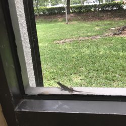 Homestead Branch - My study friend