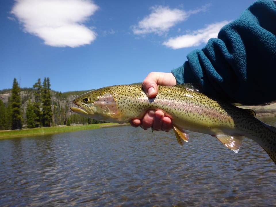 Beartooth Plateau Outfitters - equestrian in Cooke City, MT