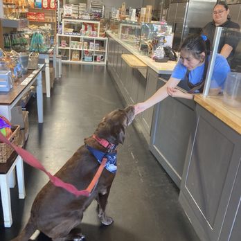 The Dog Bakery - Free treat from the super friendly staff - Pet Stores Near Me - Long Beach, California
