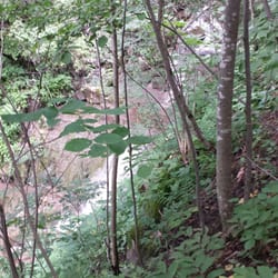 Oxbow Disc Golf Course - Waterfall