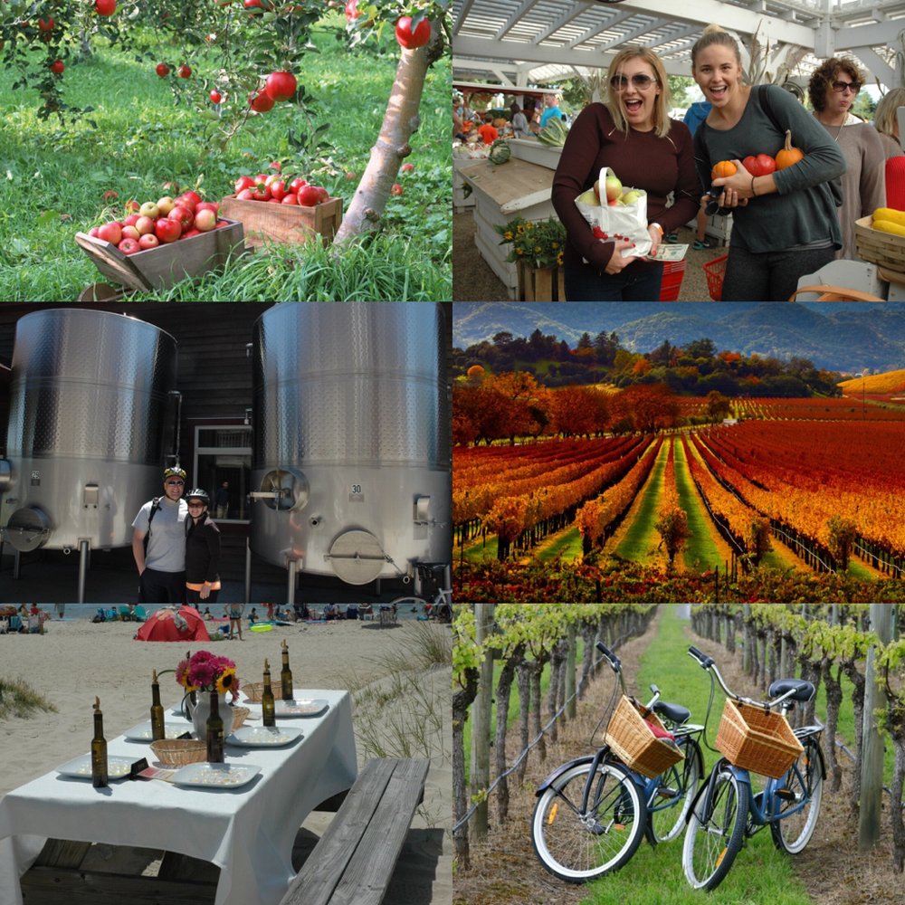 EAST END BIKE TOURS Updated July 2024 20 Photos & 44 Reviews