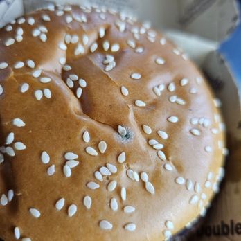 McDonald's - Mold on my bun. September 4th 1pm 2023 - Burgers Near Me - Union City, California McDonald's - Mold on my bun. September 4th 1pm 2023 - Burgers Near Me - Union City, California