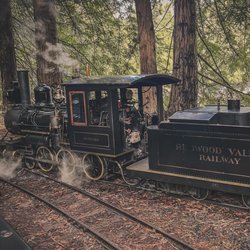 Golden Gate Live Steamers - Big steam train