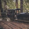 Golden Gate Live Steamers gift card