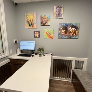Rocket City Veterinary Hospital Pine Grove - Exam room - Veterinarians Near Me - Madison, Alabama Rocket City Veterinary Hospital Pine Grove - Exam room - Veterinarians Near Me - Madison, Alabama